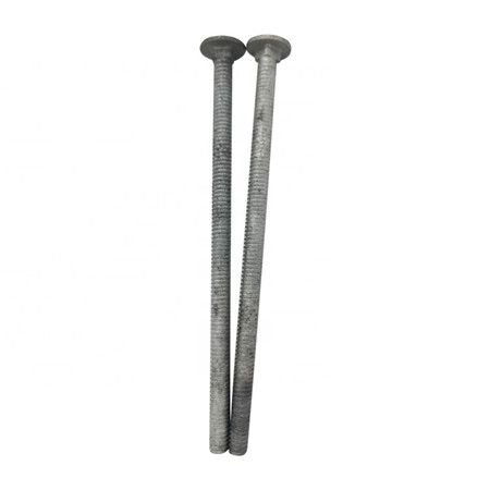 Rustfrit stål DIN 603 Svampehoved firkantede halsbolte (transportbolte)