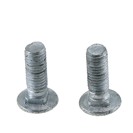 Producent Stål Zinc Cup Hoved Rib Neck Carriage Bolt