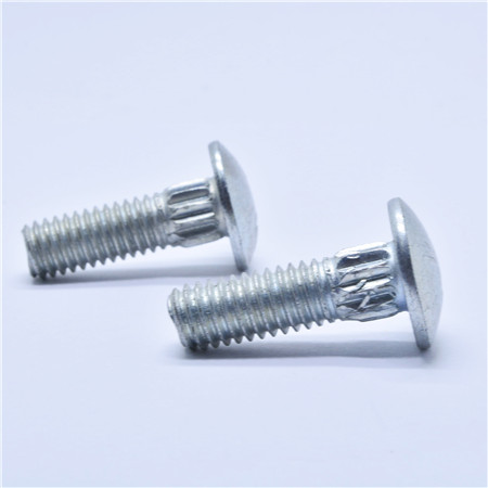 Fladt hoved 10MM Chrome Coach Bolts