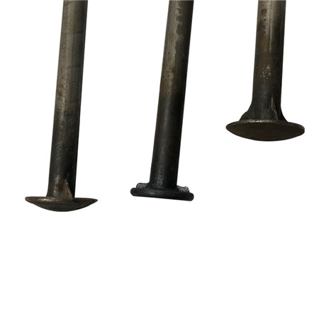 DIN603 rustfrit stål 316 A4-70 metriske svampe runde firkantede firkantede halsbolte M5 M6 M8 M10 M12 M16 M20